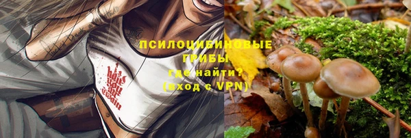 спиды Абинск