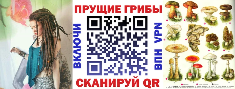 Псилоцибиновые грибы прущие грибы Дербент