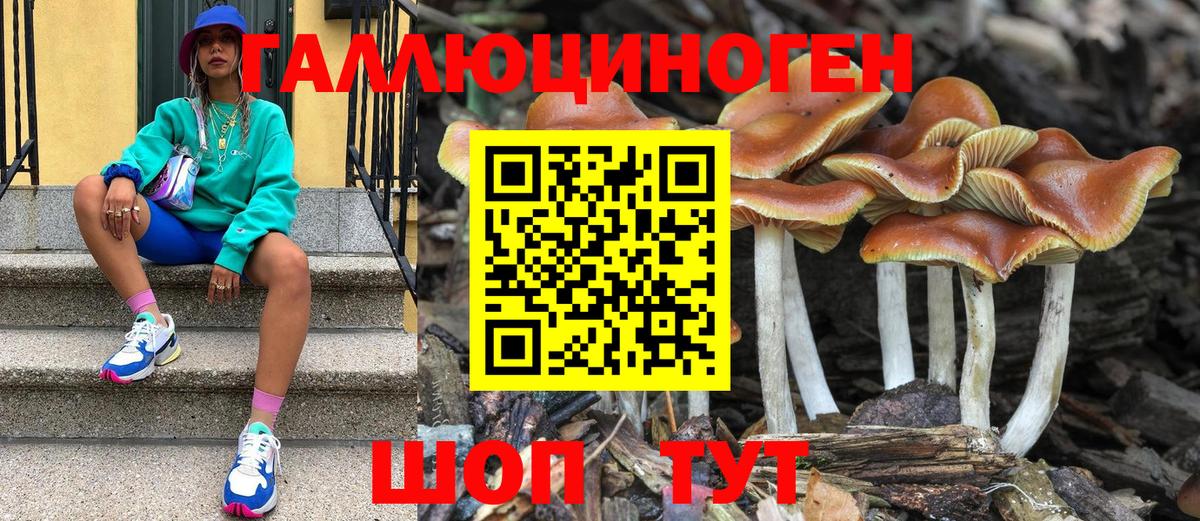 Галлюциногенные грибы ЛСД  Галлюциногенные грибы Psilocybine cubensis  Вход с VPN  Дербент 